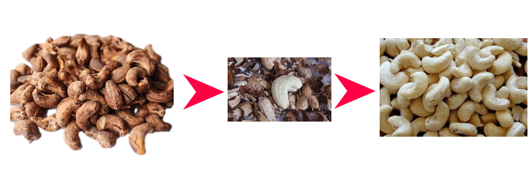 Cashew Peeling Machine