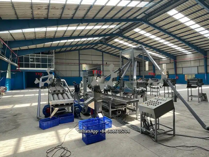 Cashew Scooping Machine