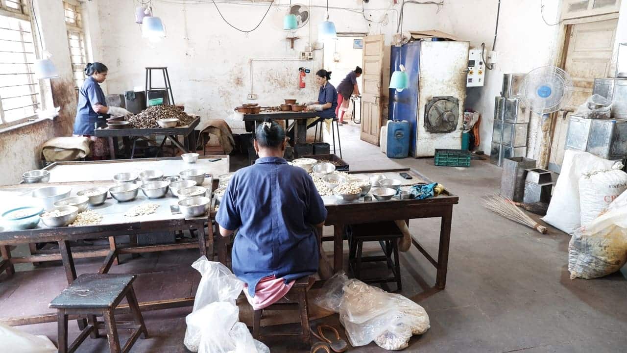 Small-Scale Cashew Nut Processing Machine & Mini Plant