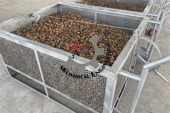 Raw cashew nuts loaded into a steaming machine basket for steam conditioning