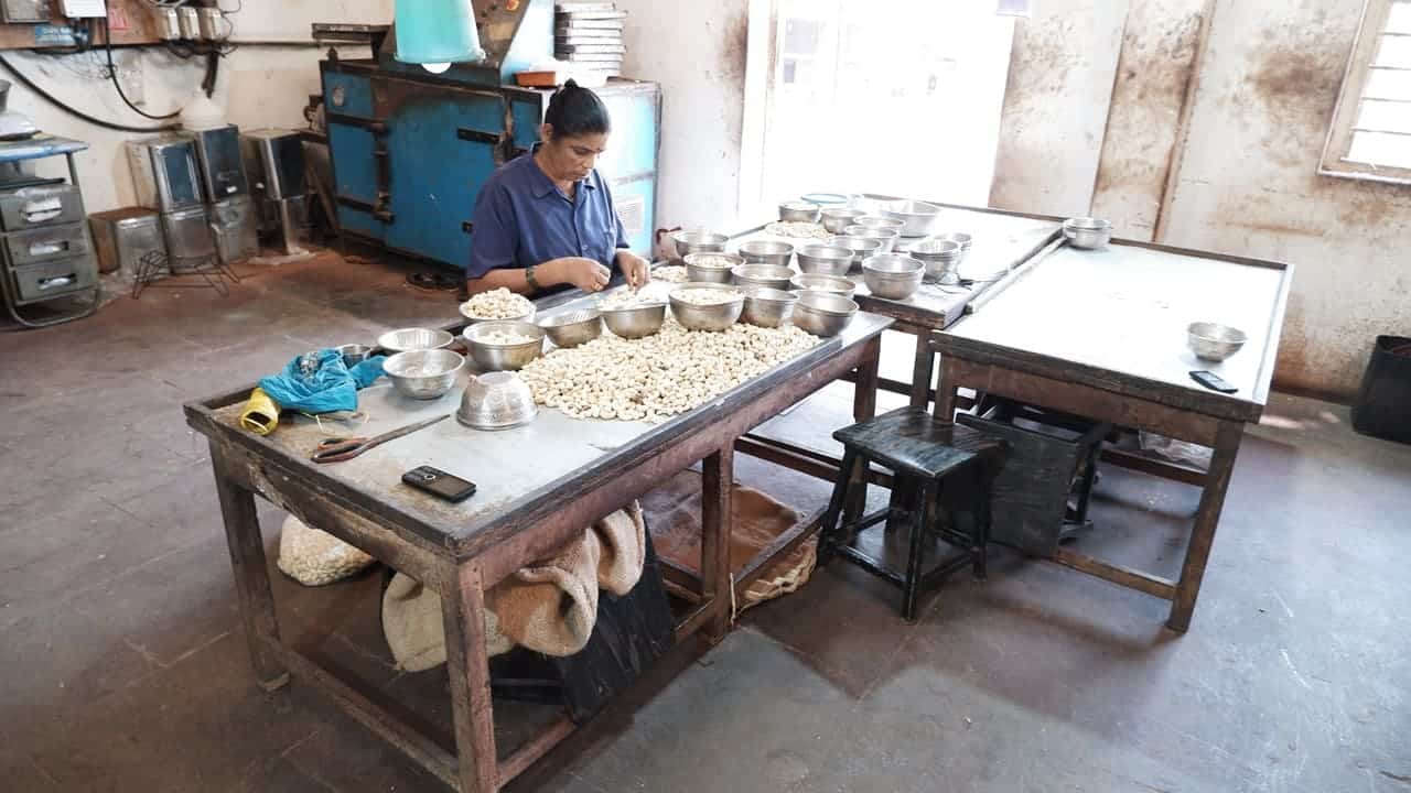 A cashew processing room with work tables and drying equipment