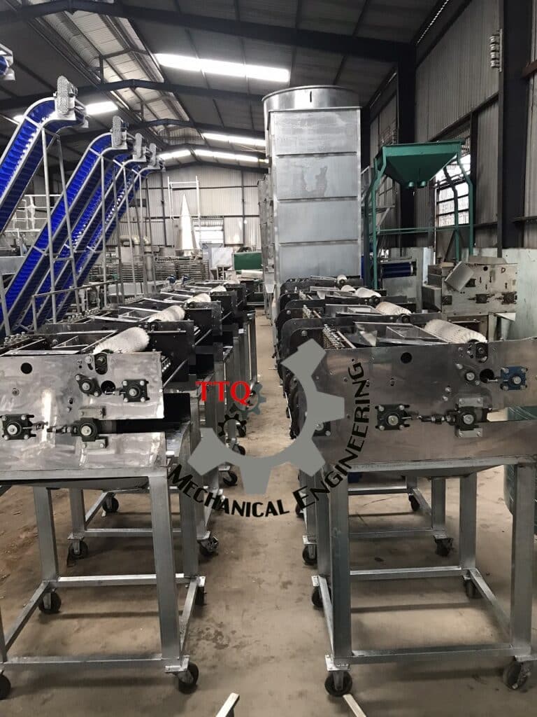 cashew processing machines