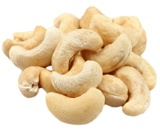 cashew nut processing machines vietnam 2