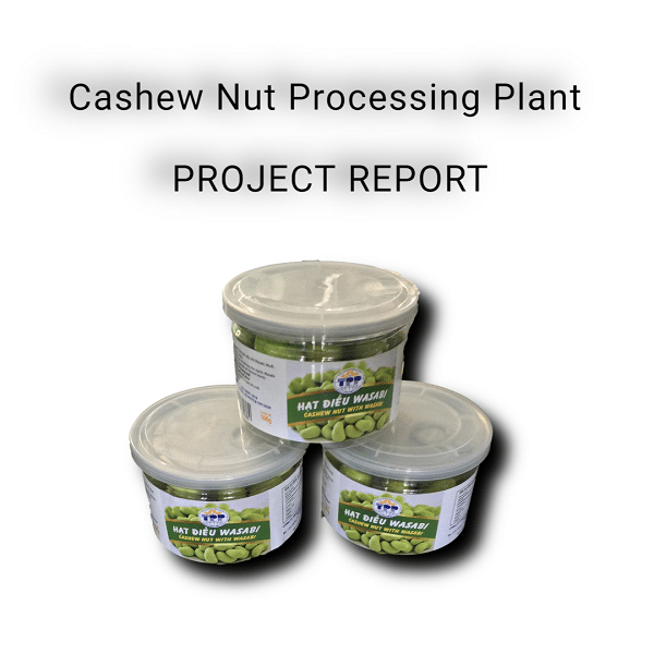 Cashew Nut Processing Plant Project Report