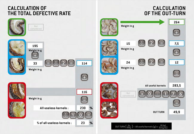 cashew outturn calculation ratio formula 1