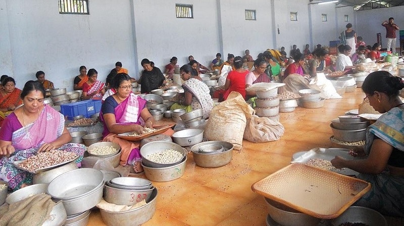 Cashew Manufacturers in Panruti, Tamil Nadu, India 1