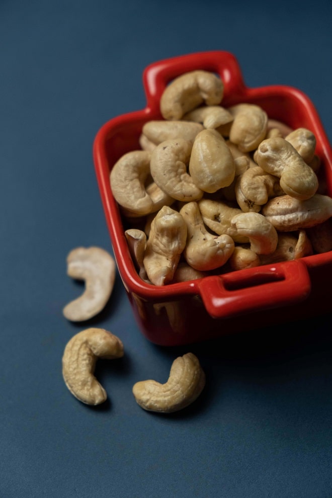 cashew processing business