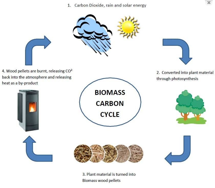 biomass boiler cost