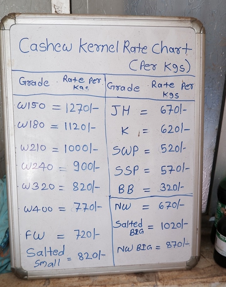 cashew kernels price per kg