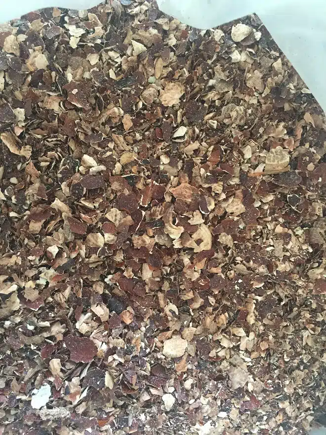 cashew testa uses