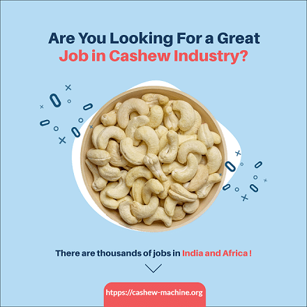 cashew factory job vacancy