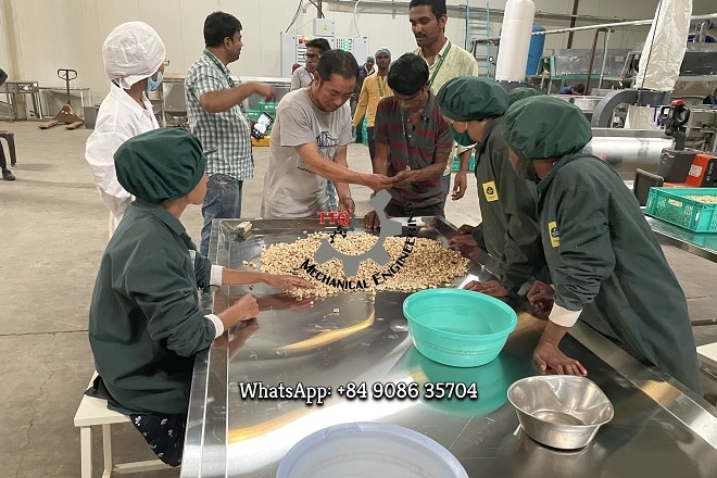 cashew processing training