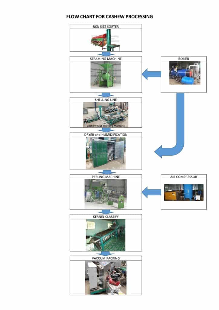 cashew manufacturing process pdf