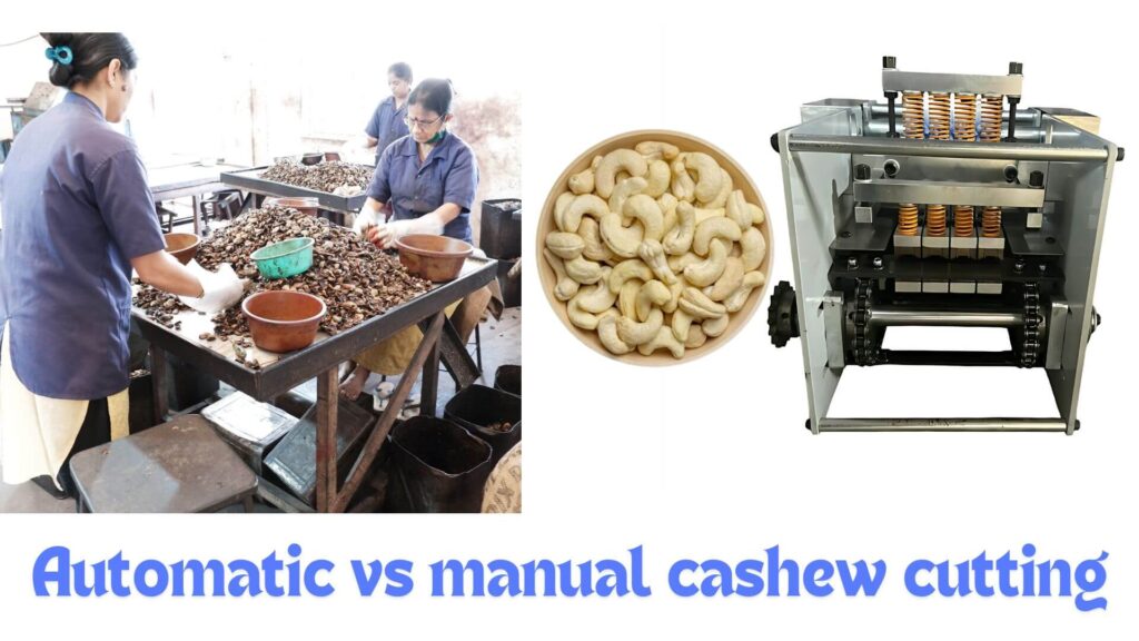 Automatic vs manual cashew cutting