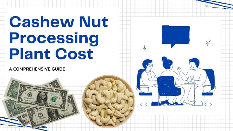 cashew nut processing plant cost