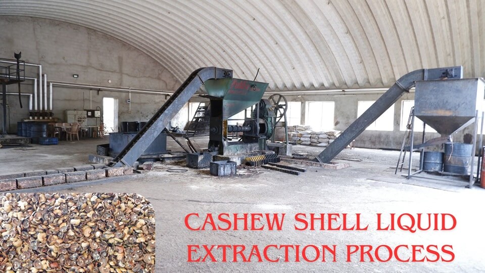 Cashew shell liquid extraction process