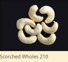 White Wholes scorched cashew nut 210