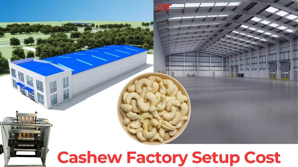 cashew factory setup cost